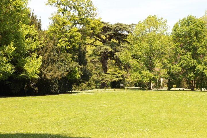 Chateau Castelrives Bessieres Екстер'єр фото