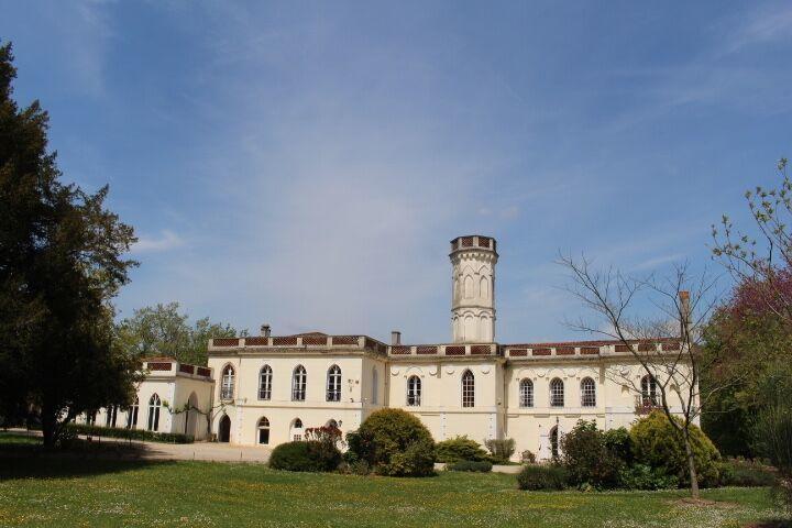 Chateau Castelrives Bessieres Екстер'єр фото